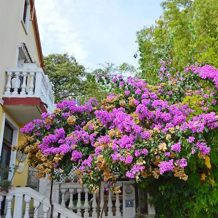 Vivoda Apartment